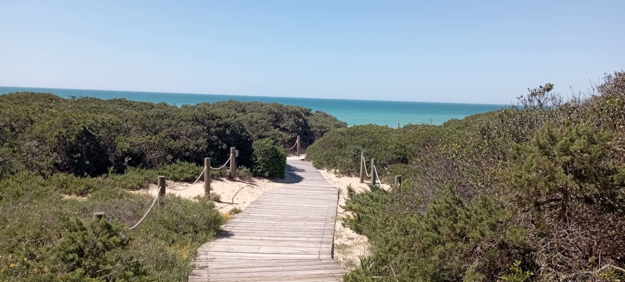 Strand Hipotels Playa la Barrosa