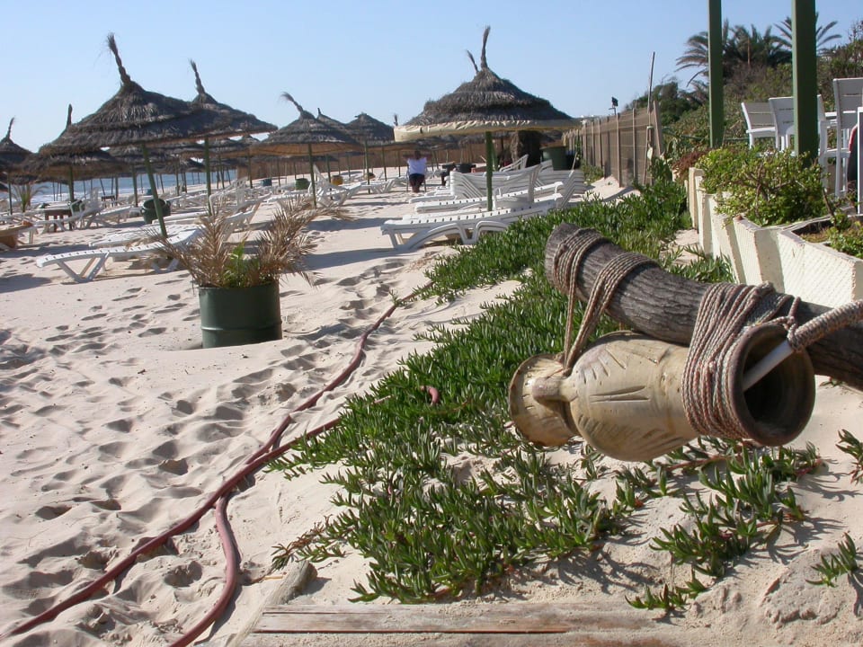 Exotique pour se rincer les pieds  El Ksar Resort & Thalasso