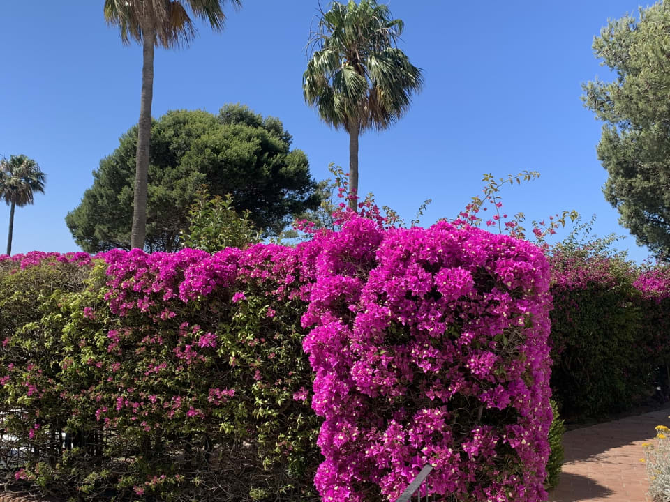 Gartenanlage Fuerte Conil-Resort