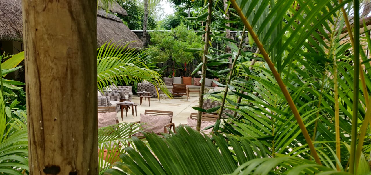 Gartenanlage Friday Attitude