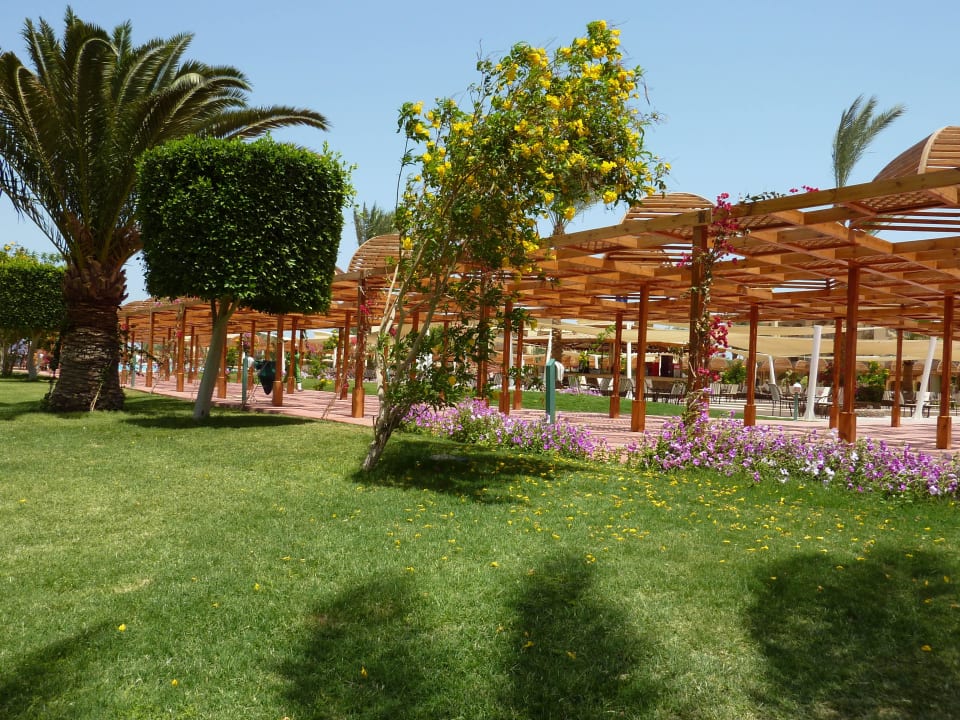 Hotelanlage 5 Desert Rose