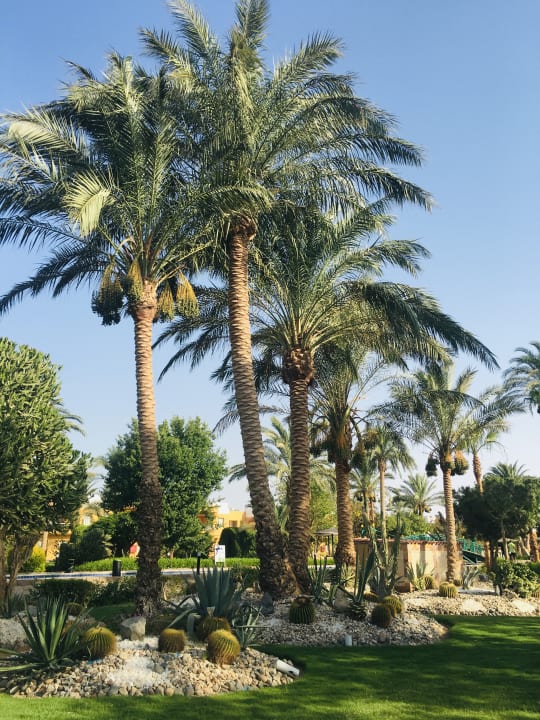 Gartenanlage Golden Beach Resort