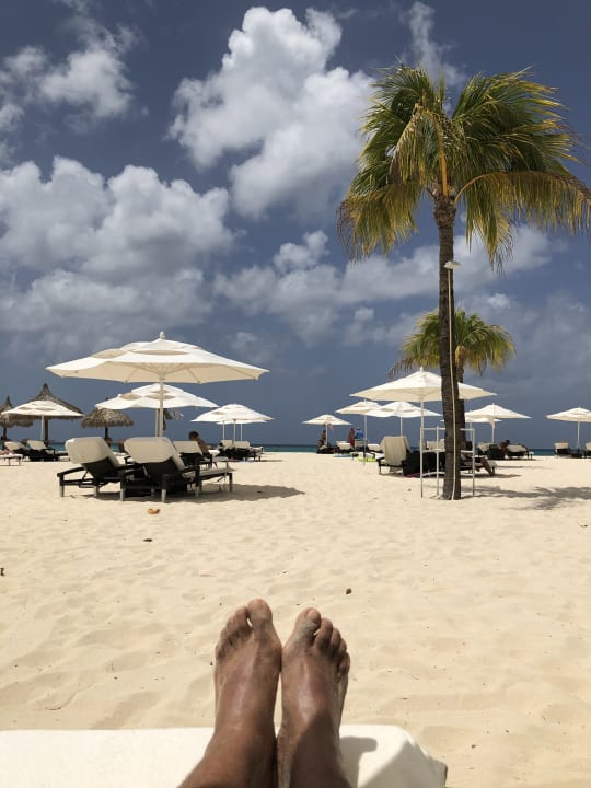 Strand Bucuti & Tara Beach Resort - Adults only