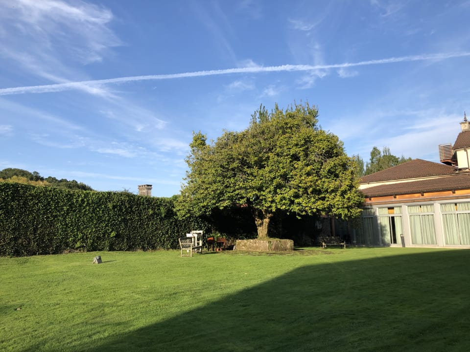 Gartenanlage Hotel AC Palacio del Carmen