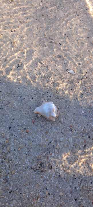 Strand Casa Mare Resort