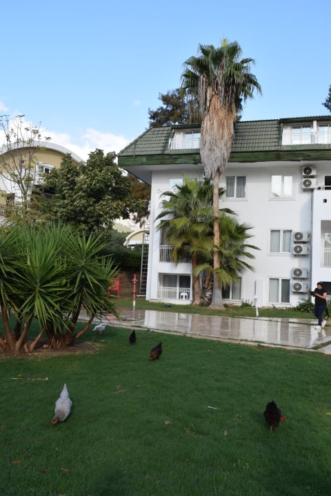 Gartenanlage Armas Gül Beach