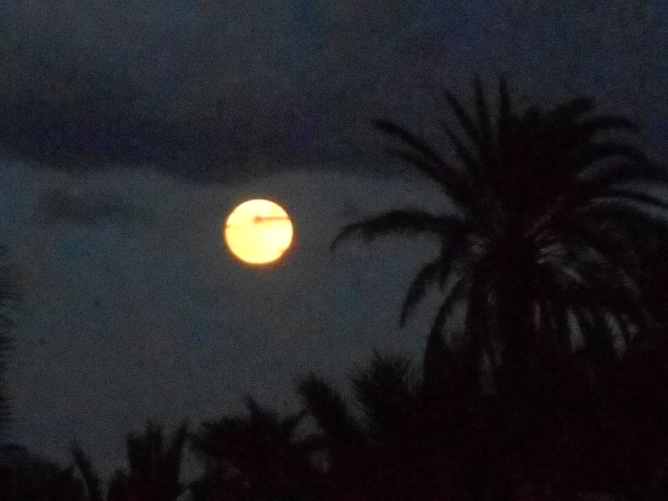 Vollmond Djerba Aqua Resort