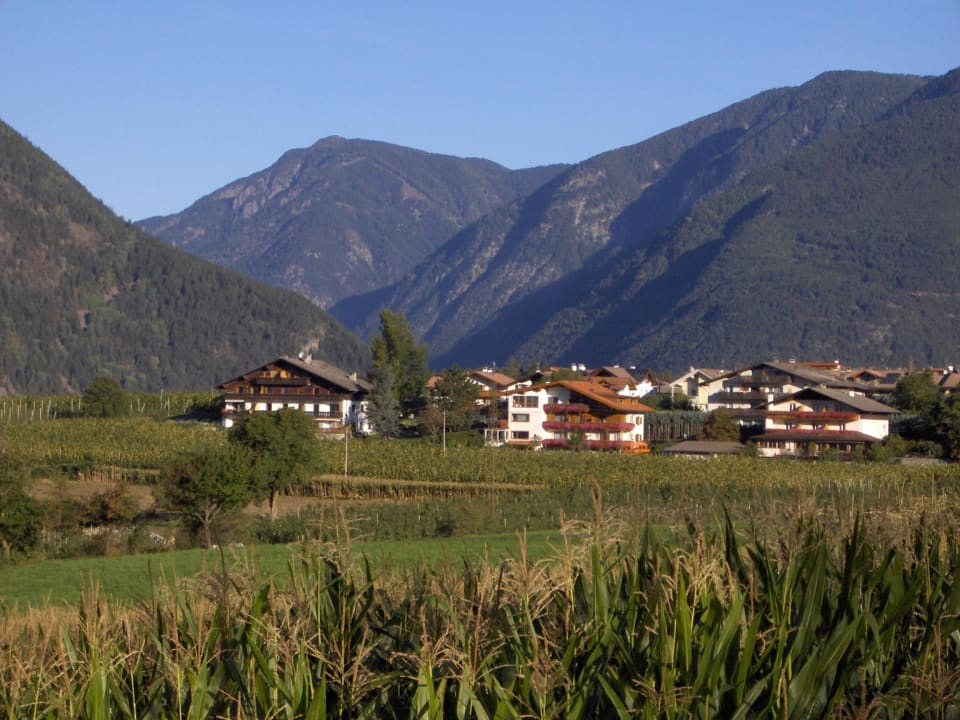 Herrliche Sonnenlage mit Panoramaaussicht Pension Weinberg
