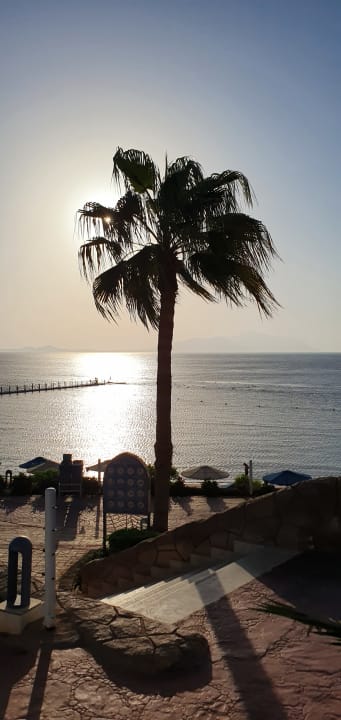 Ausblick Pickalbatros Palace Resort