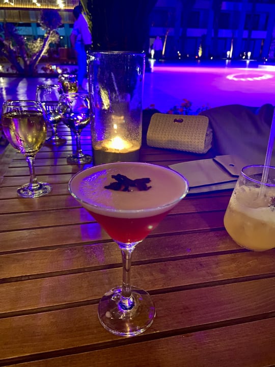 Gastro JAZ Elite Amara