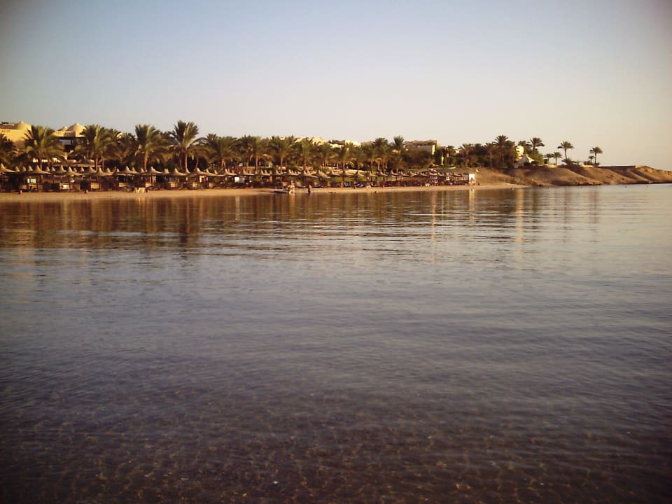 Ruhiges Meer Steigenberger Coraya Beach - Adults only