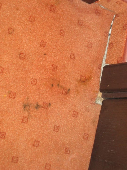 Ekelhafter Zimmerteppich Grand Juno Beach Hotel