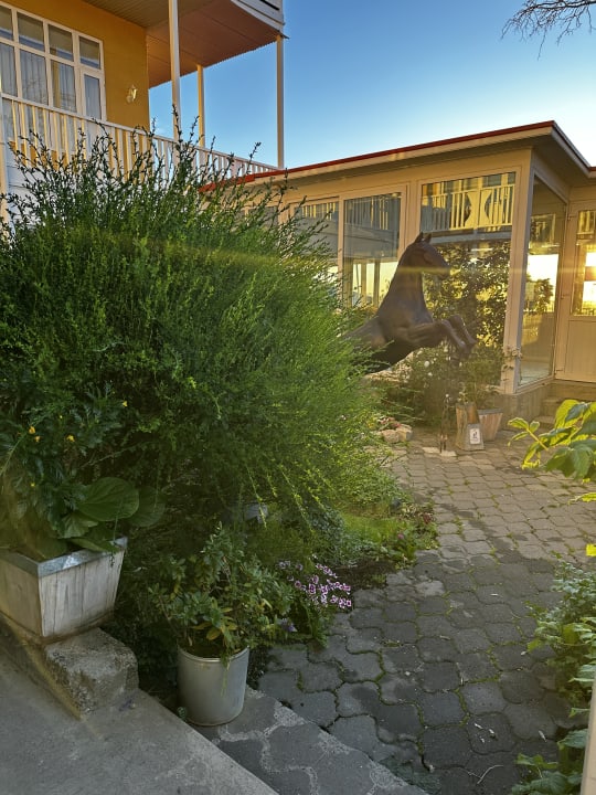 Gartenanlage Hotel Boutique La Yegua Loca