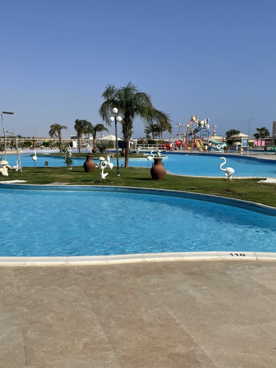 Pool Malikia Resort Abu Dabbab