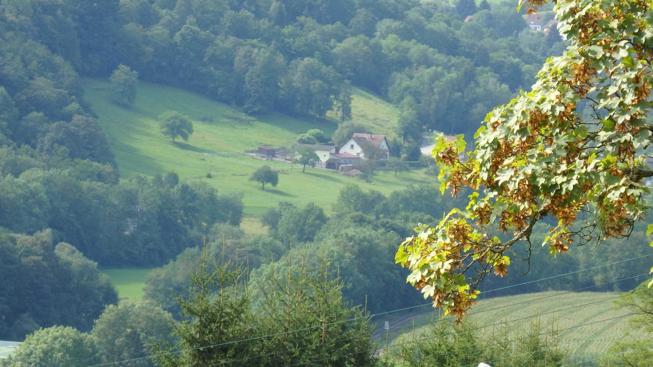 Ausblick vom Balkon Hotel Perle Des Vosges