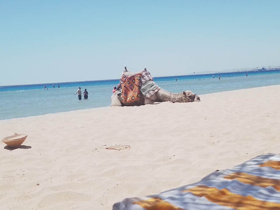 Strand Imperial Shams Abu Soma