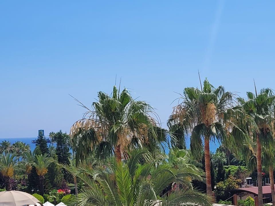 Außenansicht Saphir Resort & Spa