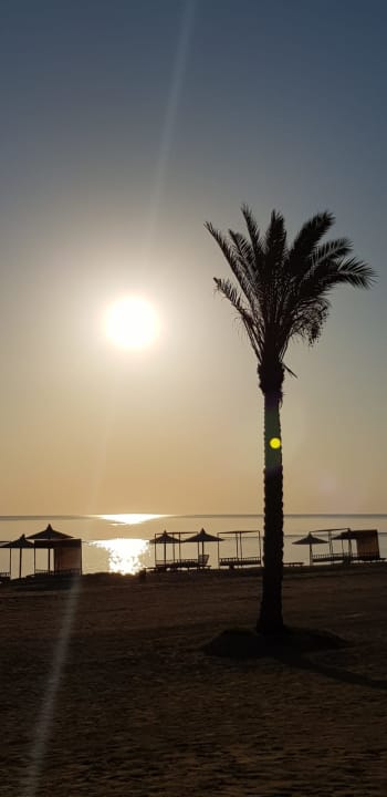 Strand Pickalbatros Sea World Resort - Marsa Alam