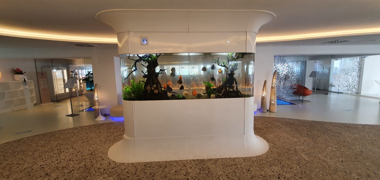 Lobby The Sea Hotel by Grupotel - Adults only