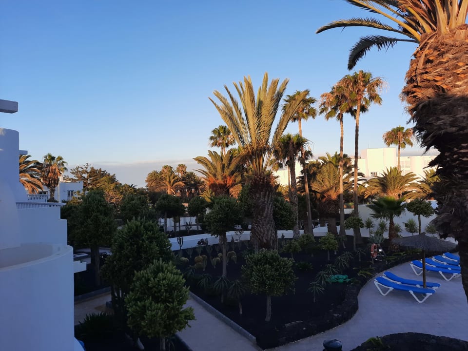 Gartenanlage Hotel Floresta