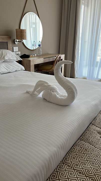 Zimmer Steigenberger Resort Ras Soma