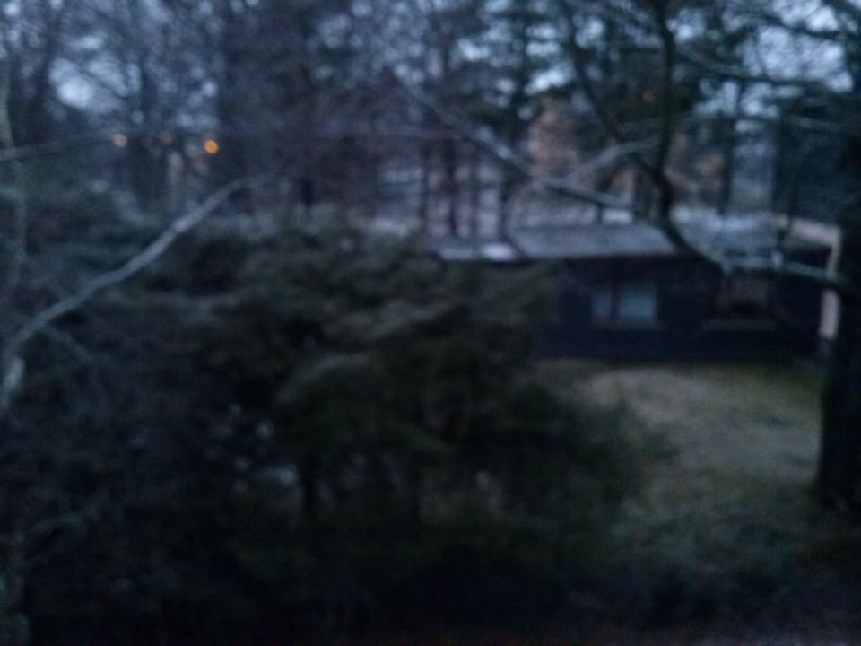 Ausblick  Rennsteighotel Herrnberger Hof