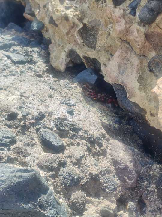 Strand Iberostar Waves Gaviotas Park