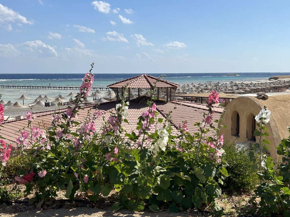 Ausblick Three Corners Fayrouz Plaza Beach Resort