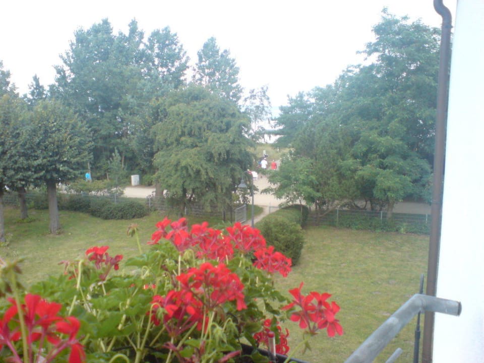 Gartenanlage mit Blick Richtung Ostsee Seehotel Großherzog von Mecklenburg