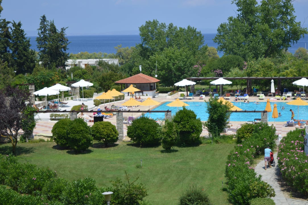 Ogród Hotel Athos Palace