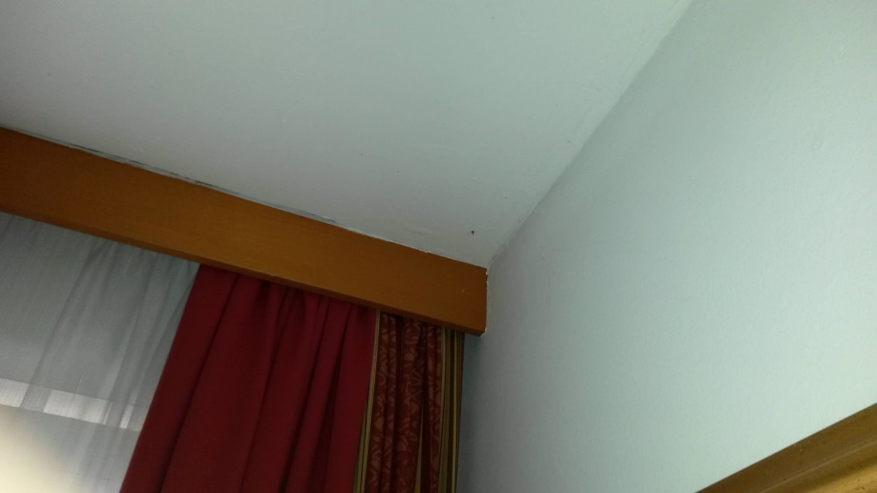 Spinnweben Hotel Sonnenhügel