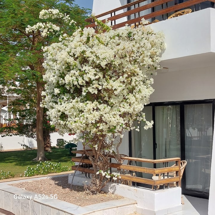 Außenansicht The Grand Hotel Hurghada