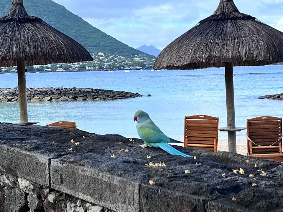 Strand Sands Suites Resort & Spa