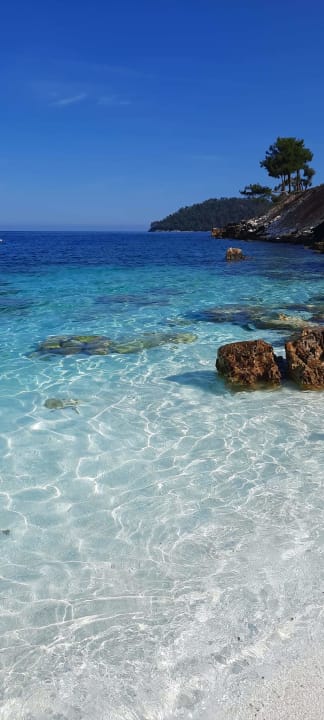 Strand Alexandra Beach Thassos Spa Resort