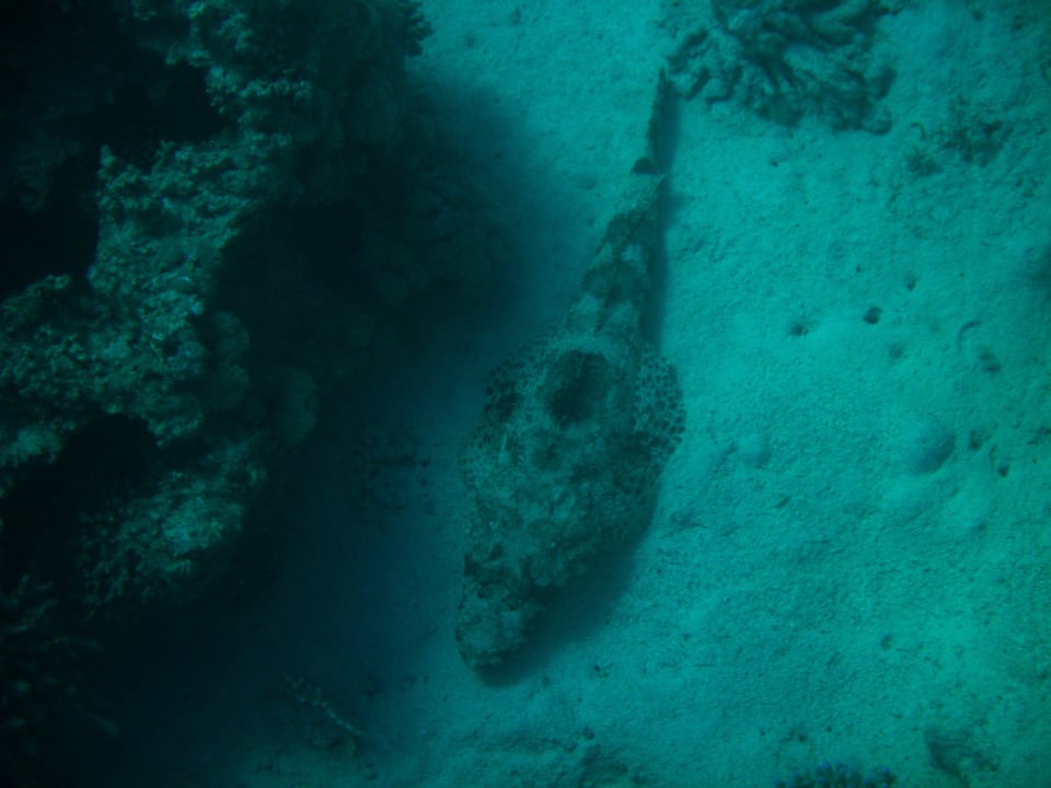 44 Stella Beach Resort & Spa Makadi Bay