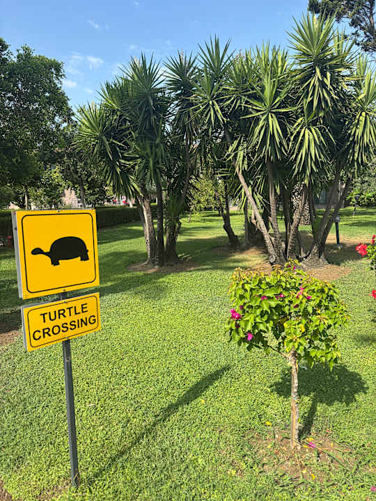 Gartenanlage TUI BLUE Palm Garden