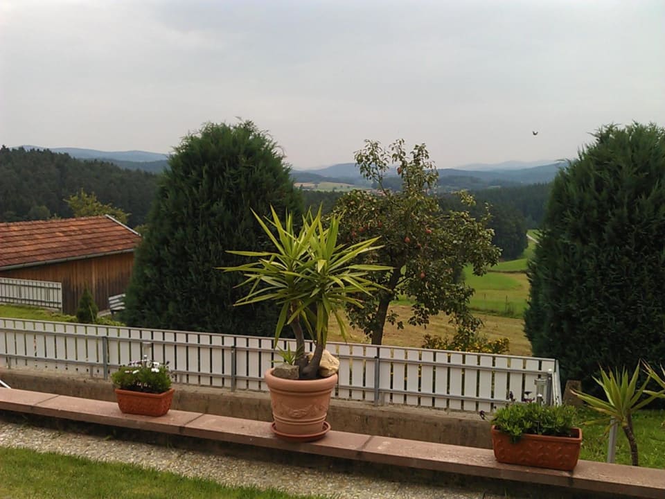 Blick vom Wintergarten Ferienwohnung Wald & Wiese