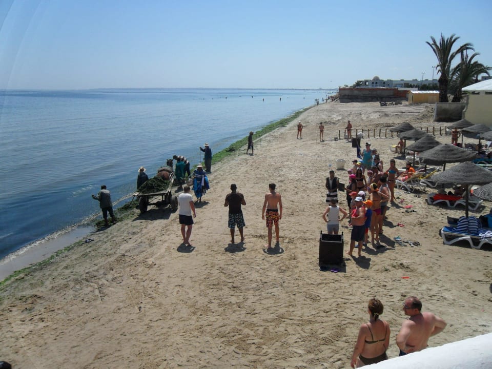 Animacje na plazy z konikiem Alassio Hotel and Thalasso