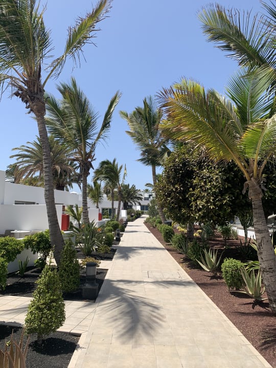 Gartenanlage Hotel Las Costas