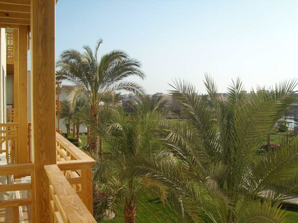 Palmen Pickalbatros Dana Beach Resort - Hurghada