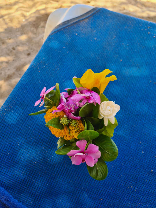 Pool Bella Vista Resort Hurghada