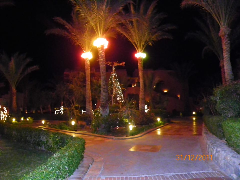 Am Abend Jaz Makadi Oasis Resort