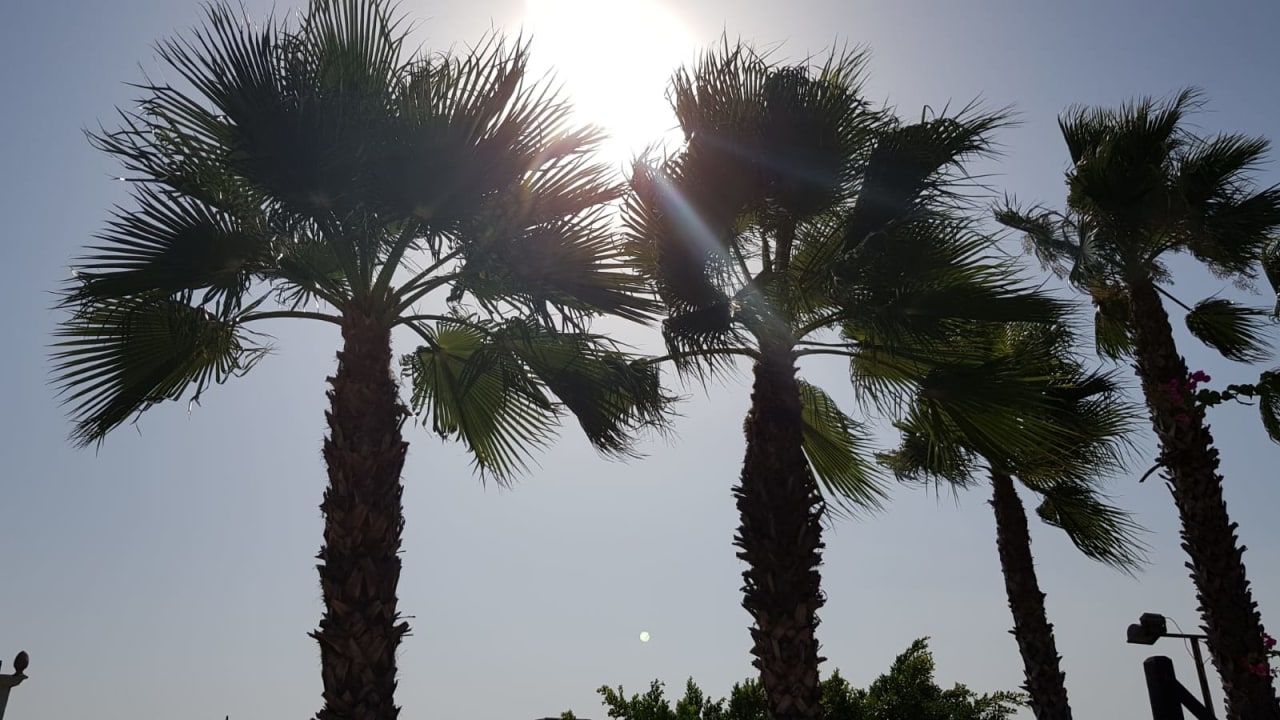 Strand Alba Resort Hotel