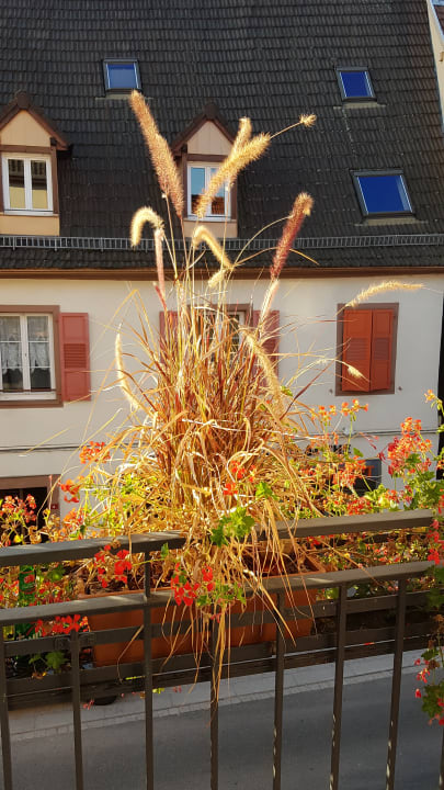 Zimmer Hotel Majestic Alsace