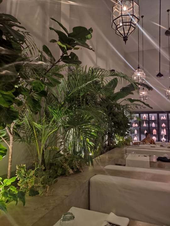 Gartenanlage Serry Beach Resort