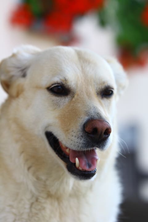 Sonstiges Ferienhof Dannerbauer