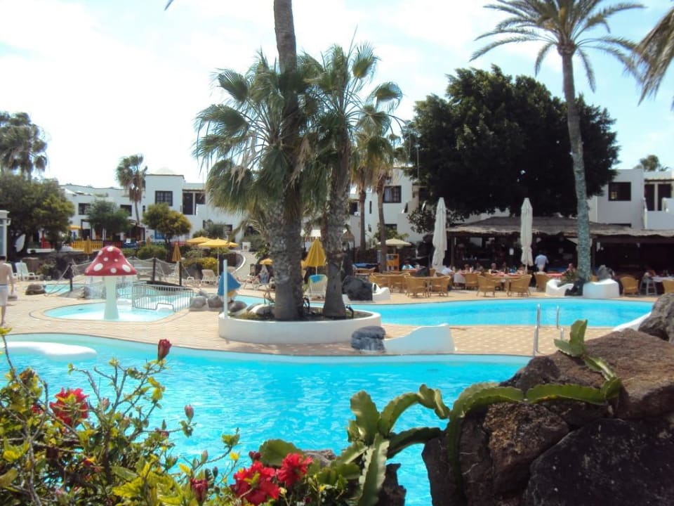 Pool H10 White Suites