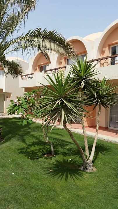 Ogród Three Corners Sea Beach Resort