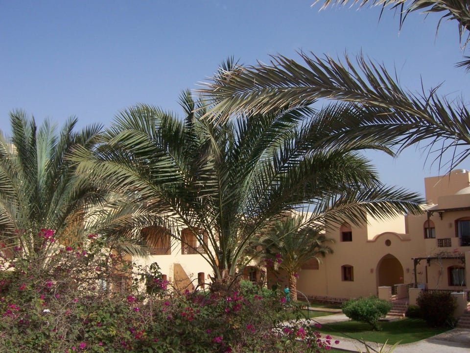 Hotel Iberotel Coraya Beach Steigenberger Coraya Beach - Adults only