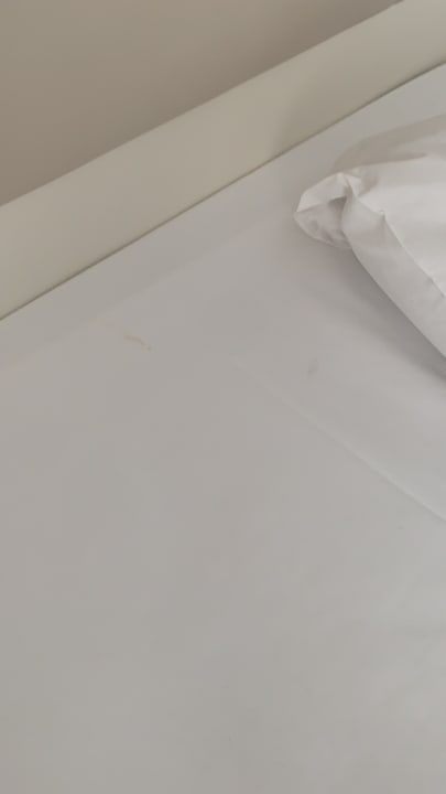 Zimmer Well Palace Side